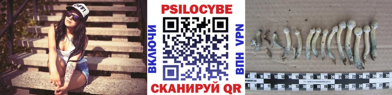 Псилоцибиновые грибы Magic Shrooms  mega ссылка  Бавлы 